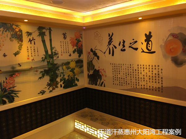惠州大亞灣定制家用汗蒸房_天道公司上門安裝包工包料