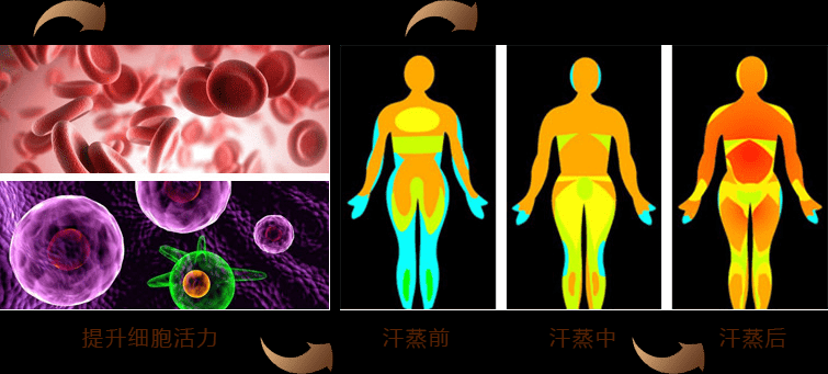 汗蒸房裝修設(shè)計(jì)