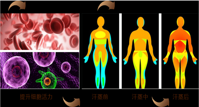 汗蒸可以提升細胞活力